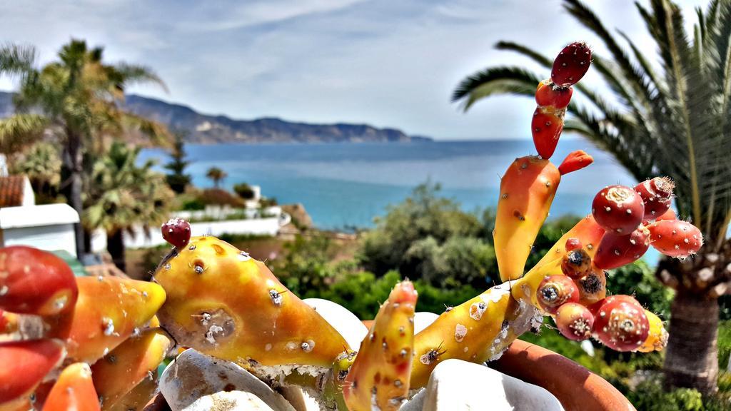 Villa Carabeo Nerja Zewnętrze zdjęcie